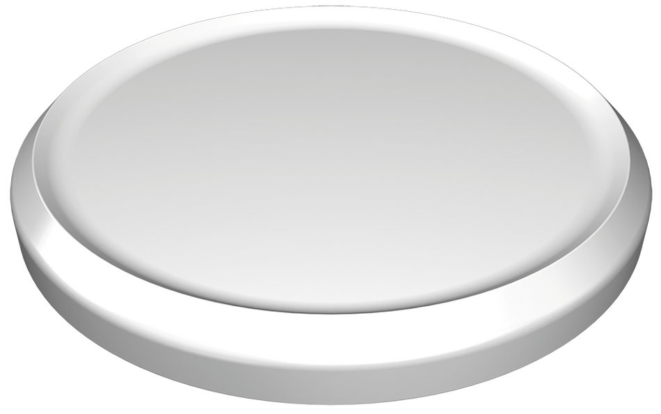 Assiette de présentation poulpe en polyéthylène