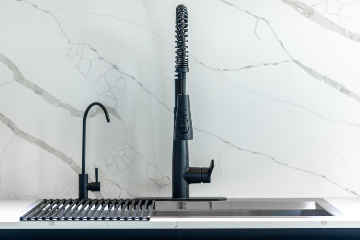 Fish Rinsing System Professional kitchen sprayers: efficiency vs standard rinsing | Lioninox