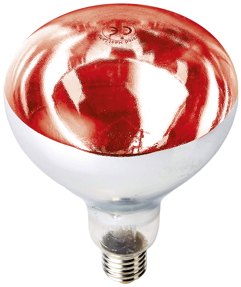 Ampoule chauffante incassable à lumière rouge ES-250W